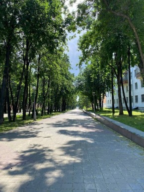 б-р. Культуры,25 в Туринске - turinsk.yutvil.ru - фото 39