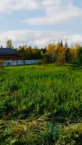 ДП Родной в Туринске - turinsk.yutvil.ru