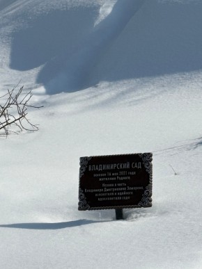 ДП Родной в Туринске - turinsk.yutvil.ru - фото 11
