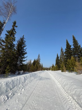 ДП Родной в Туринске - turinsk.yutvil.ru - фото 7
