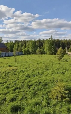 ДП Родной в Туринске - turinsk.yutvil.ru - фото 3