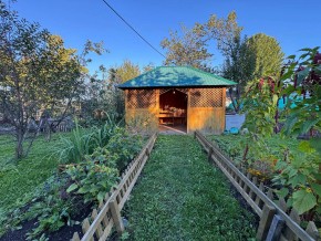Екатеренбург сад Торгмаш, СНТ  Садовод, уч. 52 в Туринске - turinsk.yutvil.ru - фото 10
