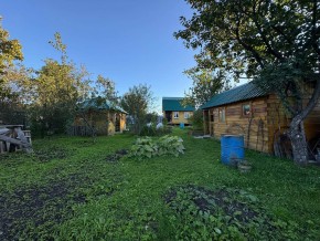 Екатеренбург сад Торгмаш, СНТ  Садовод, уч. 52 в Туринске - turinsk.yutvil.ru - фото 14