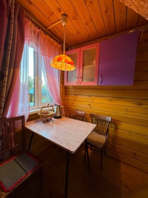 Екатеренбург сад Торгмаш, СНТ  Садовод, уч. 52 в Туринске - turinsk.yutvil.ru - фото 4