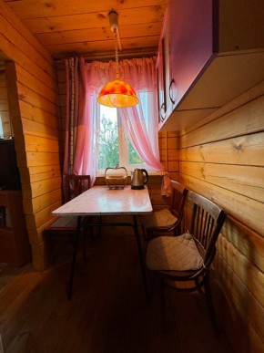 Екатеренбург сад Торгмаш, СНТ  Садовод, уч. 52 в Туринске - turinsk.yutvil.ru - фото 5