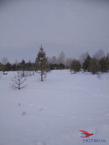 Земельный участок поселок Баженово в Туринске - turinsk.yutvil.ru - фото 5