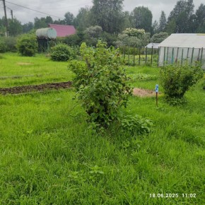 г Верхняя пышма, СНТ Мираж, уч.№ 99 в Туринске - turinsk.yutvil.ru - фото 11