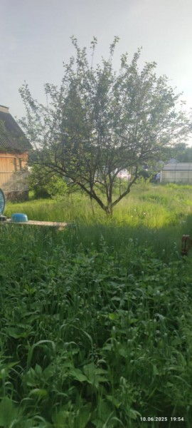 г Верхняя пышма, СНТ Мираж, уч.№ 99 в Туринске - turinsk.yutvil.ru - фото 19