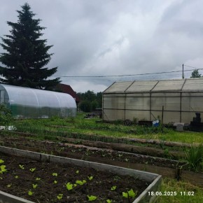 г Верхняя пышма, СНТ Мираж, уч.№ 99 в Туринске - turinsk.yutvil.ru - фото 20