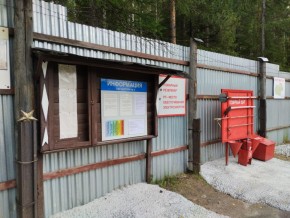 г.Верхняя Пышма СНТ №5 Березки в кв. 22 Среднеуральского Уралмашевского лесхоза в Туринске - turinsk.yutvil.ru - фото 18