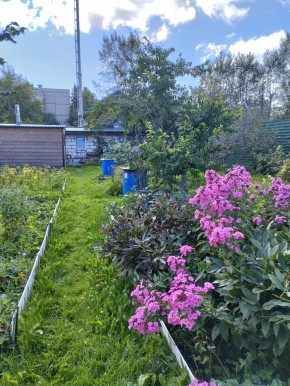 Коллективный сад номер 7, участок 58 в Туринске - turinsk.yutvil.ru - фото 23 Коллективный сад номер 7, участок 58 в Туринске - turinsk.yutvil.ru - фото 23