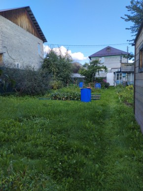 Коллективный сад номер 7, участок 58 в Туринске - turinsk.yutvil.ru - фото 26 Коллективный сад номер 7, участок 58 в Туринске - turinsk.yutvil.ru - фото 26