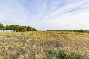 Российская Федерация, Свердловская область, Сысертский городской округ, территория садоводческого некоммерческого товарищества Бобровские дачи, улица Каштановая, земельный участок № 38 в Туринске - turinsk.yutvil.ru - фото 16