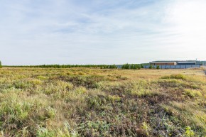 Российская Федерация, Свердловская область, Сысертский городской округ, территория садоводческого некоммерческого товарищества Бобровские дачи, улица Каштановая, земельный участок № 38 в Туринске - turinsk.yutvil.ru - фото 24