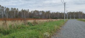 с. Новоалексеевское, КП Оникс, в Туринске - turinsk.yutvil.ru - фото 2 с. Новоалексеевское, КП Оникс, в Туринске - turinsk.yutvil.ru - фото 2