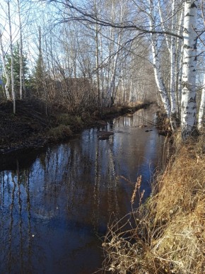 СНТ Берёзка в Туринске - turinsk.yutvil.ru - фото 14