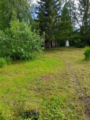 СНТ Калининец-10, уч. 1-11-3 в Туринске - turinsk.yutvil.ru - фото 6 СНТ Калининец-10, уч. 1-11-3 в Туринске - turinsk.yutvil.ru - фото 6