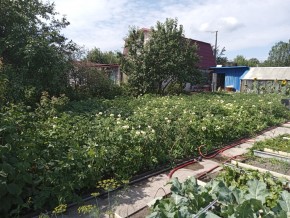 СНТ Медик-2 в Туринске - turinsk.yutvil.ru - фото 6