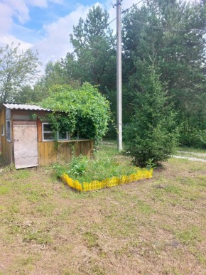 СНТ Родники в Туринске - turinsk.yutvil.ru - фото 2 СНТ Родники в Туринске - turinsk.yutvil.ru - фото 2