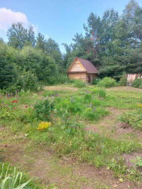 СНТ Родники в Туринске - turinsk.yutvil.ru - фото 3 СНТ Родники в Туринске - turinsk.yutvil.ru - фото 3