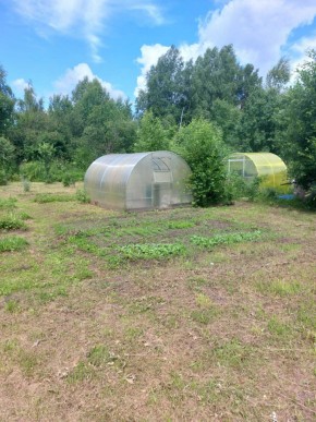 СНТ Родники в Туринске - turinsk.yutvil.ru - фото 4 СНТ Родники в Туринске - turinsk.yutvil.ru - фото 4