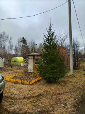 СНТ Родники в Туринске - turinsk.yutvil.ru - фото 5 СНТ Родники в Туринске - turinsk.yutvil.ru - фото 5