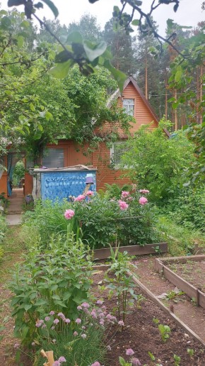 СНТ Садовод-24 в Туринске - turinsk.yutvil.ru