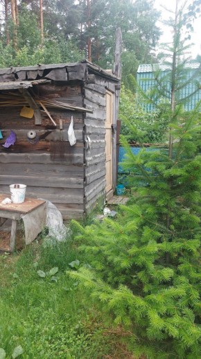 СНТ Садовод-24 в Туринске - turinsk.yutvil.ru - фото 13