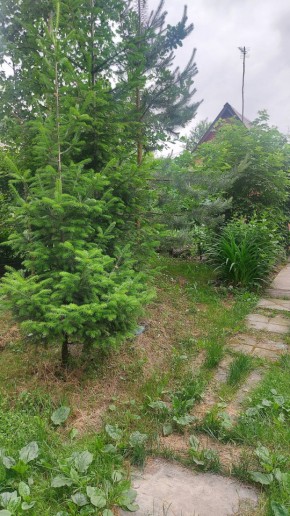 СНТ Садовод-24 в Туринске - turinsk.yutvil.ru - фото 15
