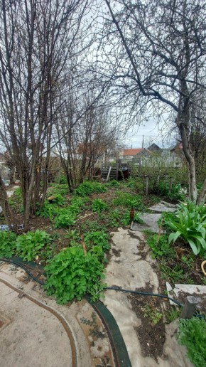 СНТ Сирень, уч. 38 в Туринске - turinsk.yutvil.ru - фото 7