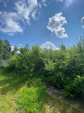 СПК Юбилейный, уч. 9 в Туринске - turinsk.yutvil.ru - фото 8