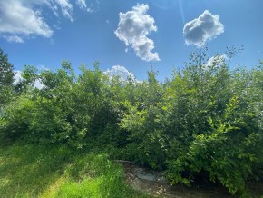 СПК Юбилейный, уч. 9 в Туринске - turinsk.yutvil.ru - фото 9