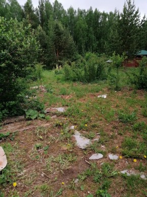 СТН Семья №112, Верхняя пышма на землях бывшего подсобного хозяйтва верхнепышминского опытного завода в Туринске - turinsk.yutvil.ru - фото 17