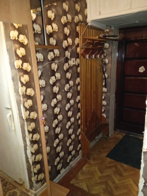 ул. Бажова,11 в Туринске - turinsk.yutvil.ru - фото 9