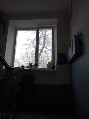 ул. Донбасская,27 в Туринске - turinsk.yutvil.ru - фото 5 ул. Донбасская,27 в Туринске - turinsk.yutvil.ru - фото 5