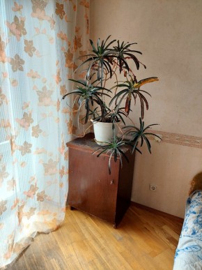 ул. Индустрии,29 в Туринске - turinsk.yutvil.ru - фото 4 ул. Индустрии,29 в Туринске - turinsk.yutvil.ru - фото 4