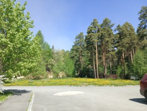 ул. Сосновая, 8 в Туринске - turinsk.yutvil.ru - фото 26