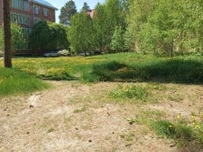 ул. Сосновая, 8 в Туринске - turinsk.yutvil.ru - фото 33