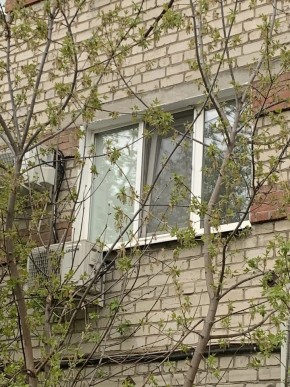 ул. Таганская,8 в Туринске - turinsk.yutvil.ru - фото 14