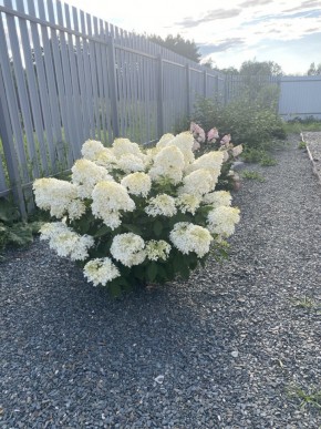 ул. Весенняя,12 в Туринске - turinsk.yutvil.ru - фото 20